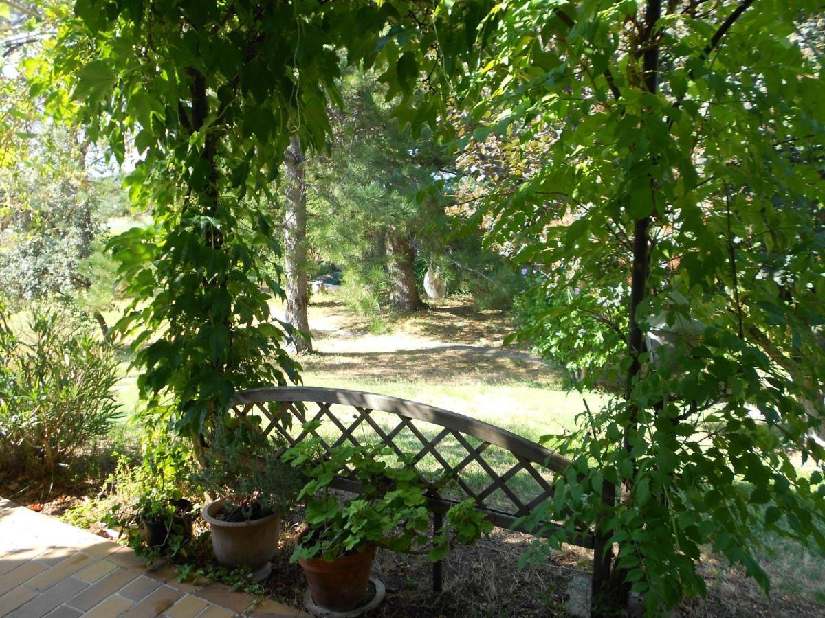 Des Lavandes Bed & Breakfast